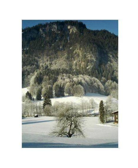 Falkenstein-Wohnung-4-Haus-B Oberstdorf Esterno foto